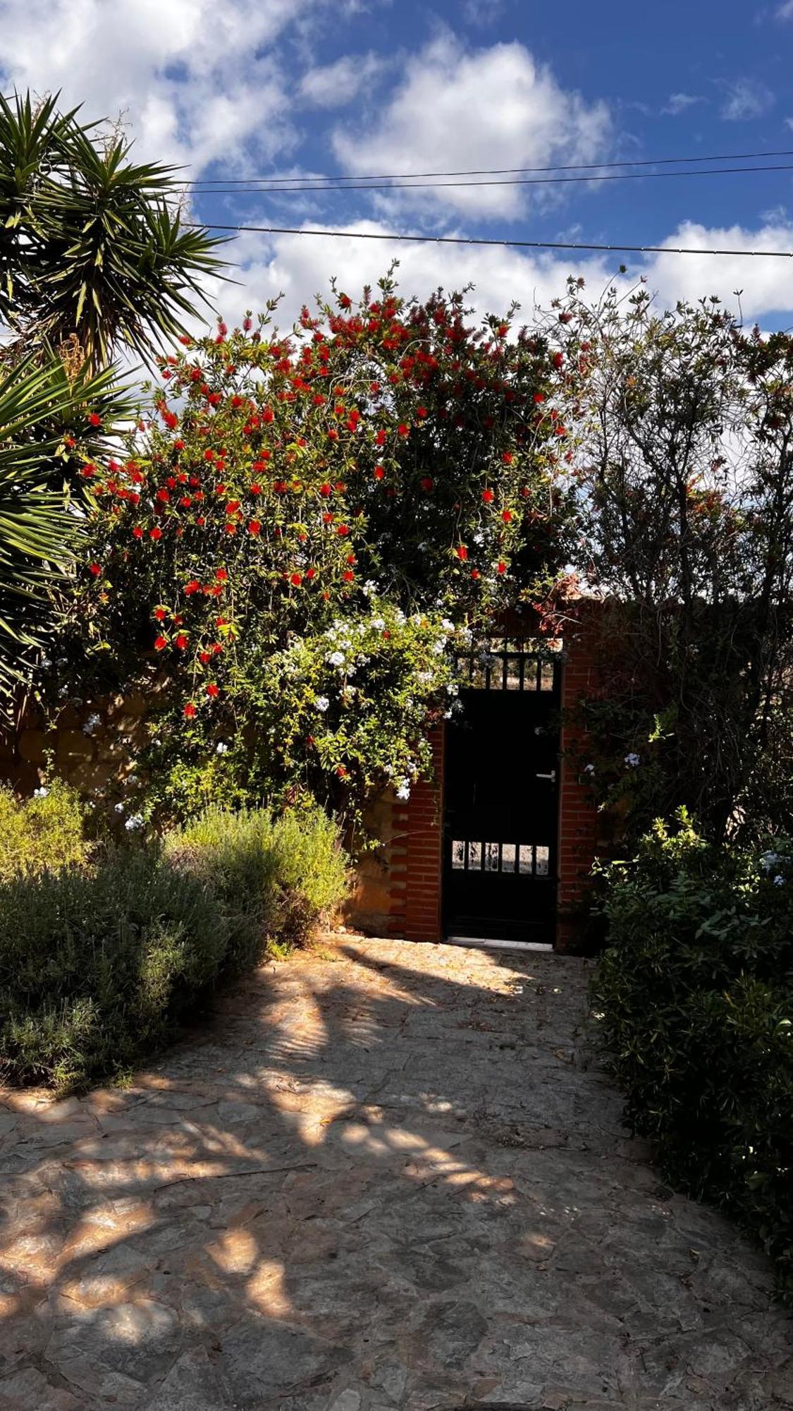 Rincon Mediterraneo Sant Vicent del Raspeig  Exterior foto